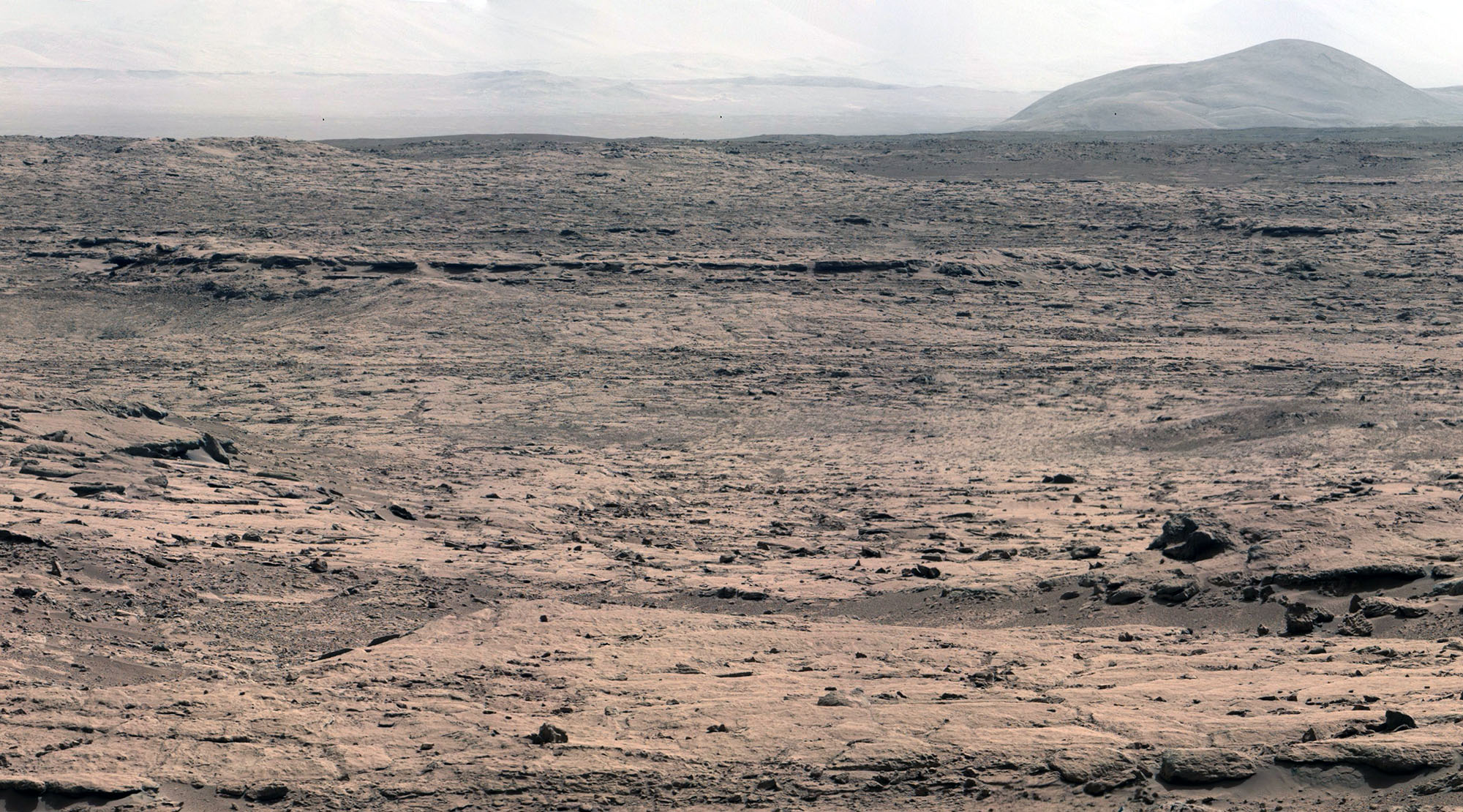 3 10 PIA16453jpg copy