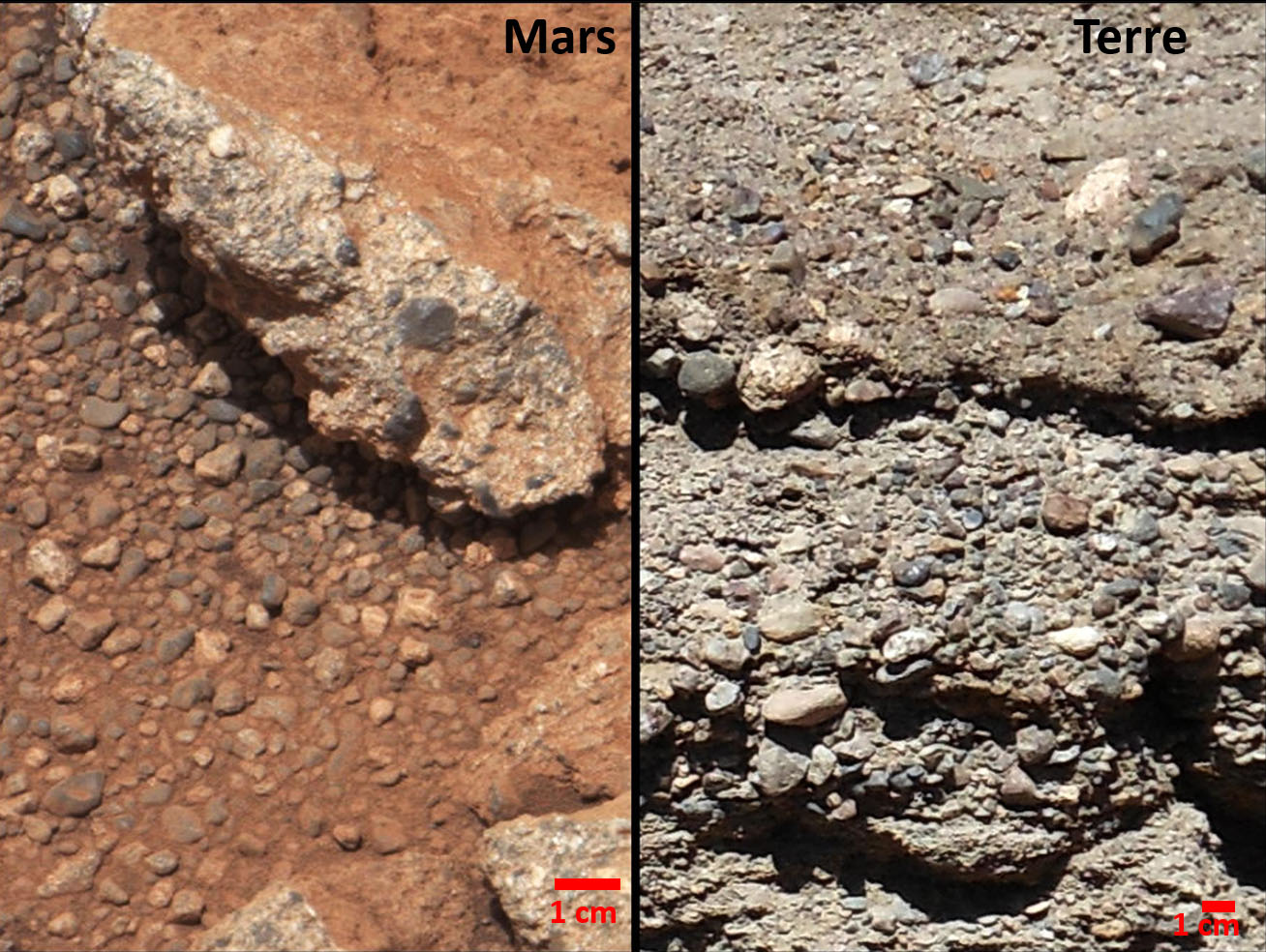 3 12 conglo marsjpg copy