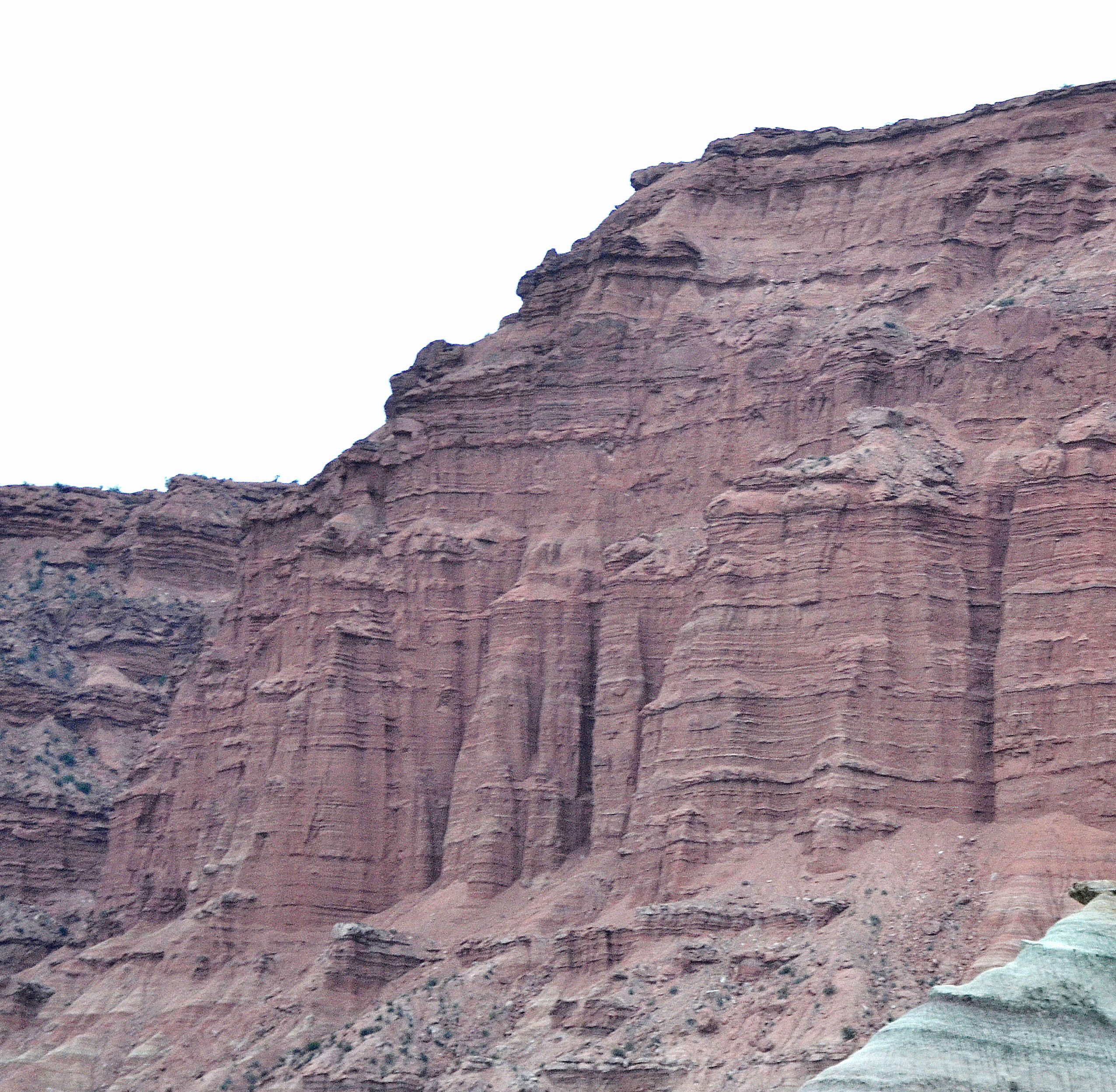 1 DSC_0918 - CopieJPG copy